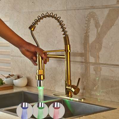 Lead Free Brass Two Rotate Spout Gold Spring Pull Out Spray Single Handle Kitchen Faucet